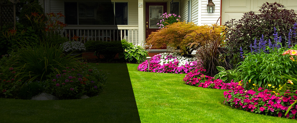 Vernon Rockville Landscapers