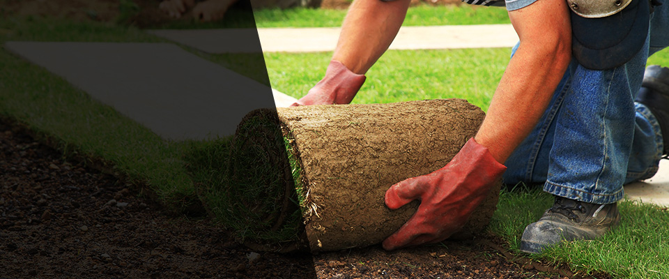 Vernon Rockville Landscapers